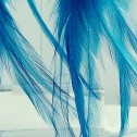 Salomé Osorio | Earrings Blue Luxius Feathers Earrings [3]