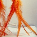 Salomé Osorio | Earrings Orange Luxious Feather Earrings [3]