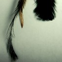 Salomé Osorio | Earrings Feathers Earrings [2]