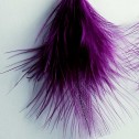 Salomé Osorio | Earrings Purple Feathers Earrings [2]