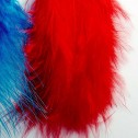 Salomé Osorio | Earrings Red & Blue Feathers Earrings [2]