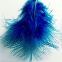 Salomé Osorio | Earrings Blue Feather Earrings [2]