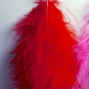 Salomé Osorio | Earrings Red & Pink Feathers Earrings [1]