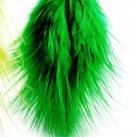 Salomé Osorio | Earrings Green Feathers Earrings [1]