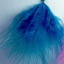 Salomé Osorio | Earrings Blue & Pink Feathers Earrings [1]