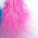 Salomé Osorio | Earrings Blue & Pink Feathers Earrings [2]