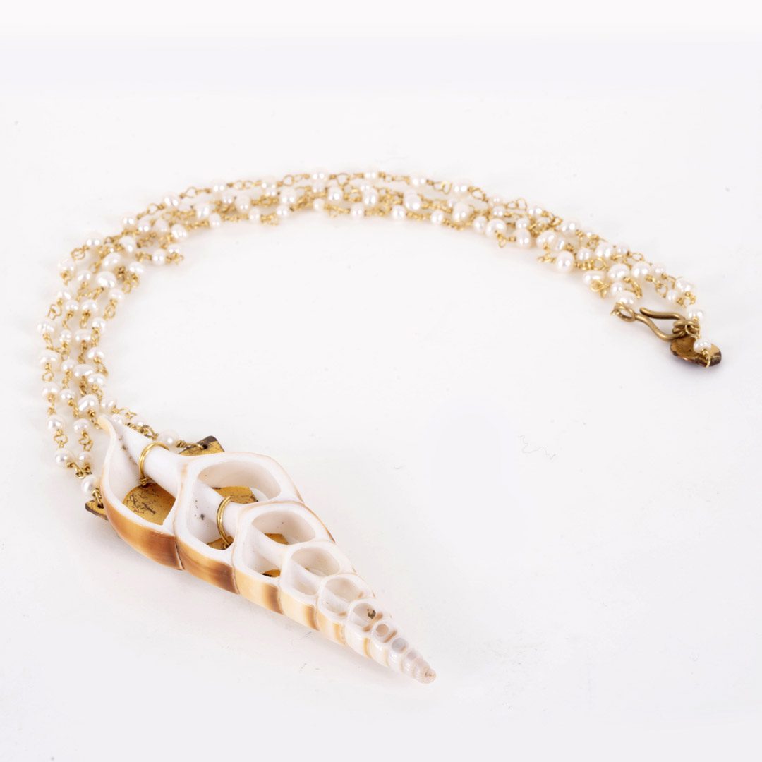 Collier Tranche de Coquillage – Image 1